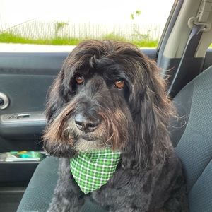 Meet your Posher, Kristy